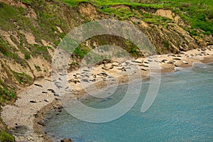 Point Reyes National Seashore in California.