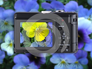 Point & Shoot Camera with flowers