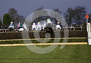 Point to Point horse racing