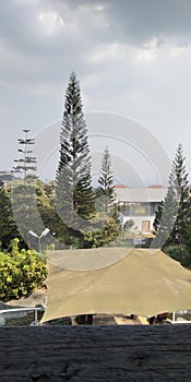 Point of view in dago