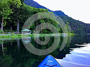 A point of view perspective from a person kayaking on the ocean on a beautiful peaceful evening along the shores of forested shore