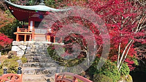 POINT OF VIEW POV, Daigo Ji Temple in autumn time. Kyoto, Japan.