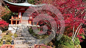 POINT OF VIEW (POV) Daigo Ji Temple in autumn time. Kyoto, Japan.