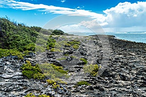 Pointe Coton Coral Path - Rodrigues Island - Mauritius