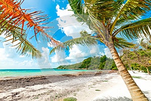 Pointe de la Saline beach in Guadeloupe