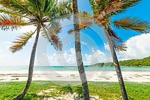 Pointe de la Saline beach in Guadeloupe