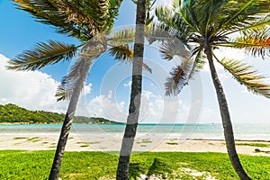 Pointe de la Saline beach in Guadeloupe under a shining sun