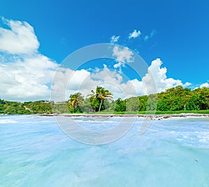 Pointe de la Saline beach seen from the water in Guadeloupe