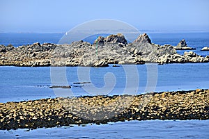 POINTE DE PRIMEL (Primel-Tregastel, Plougasnou) photo