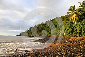 Pointe Noire, Guadeloupe photo