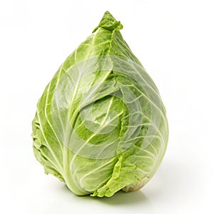 Pointed cabbage isolated on white background photo