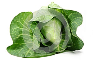 Pointed cabbage