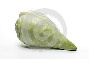 Pointed Cabbage on white background