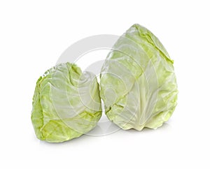 Pointed Cabbage on white background.