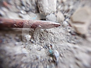 The pointed end of a rusty nail