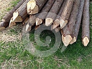 Pointed fence posts