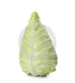 Pointed fresh cabbage on white background.