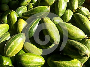 Pointed gourd