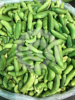 Pointed gourd, parwal