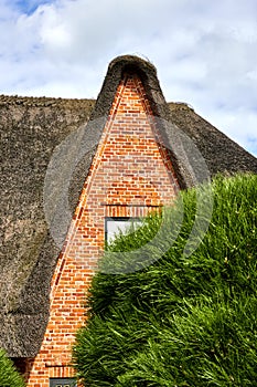 Pointed high gable of a house with thatched roof behind a green bush, Sylt, Germany