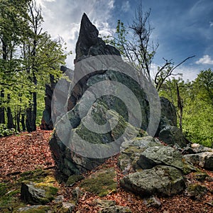 A pointed rock overgrown with green moss on a hill in a forest