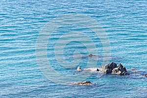 Pointed rocks in the blue water of tyrrhenian sea