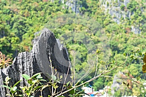 Pointed tip of a rock formation at the top of a cliff