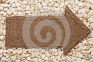 Pointer of burlap lies on sunflower seeds