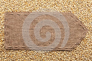 Pointer of burlap lying on a barley background