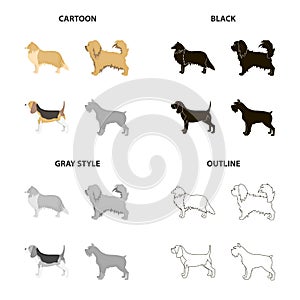 Pointer, dog collie, scottish shepherd, riesen schnauzer, breed pekingese.Dog breeds set collection icons in cartoon
