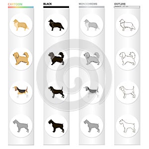 Pointer, dog collie, scottish shepherd, riesen schnauzer, breed pekingese.Dog breeds set collection icons in cartoon