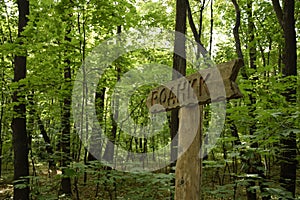 A pointer with the inscription (spring) in Vinnovskaya grove, Ulyanovsk, Russia