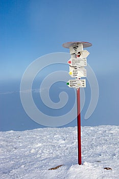 Pointer on the mountain Hoverla