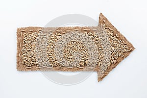 Pointer with rye grains