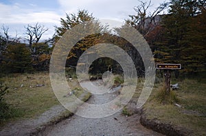 Pointer to El Chalten on hiking trail from Lake Laguna Torre through Magellanic subpolar forest. Tourist route and direction sign