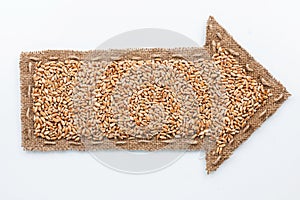Pointer with wheat grains