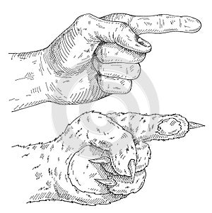 Pointing cat paw and human hand. Vintage vector monochrome hatching
