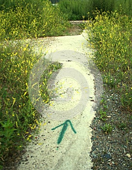 Pointing Path