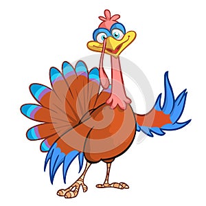 Pointing Turkey Cartoon A cartoon turkey points at your message.