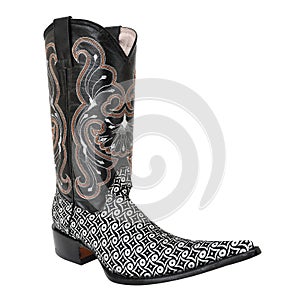 Pointy cowboy, pattern printed cloth boot