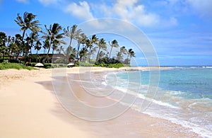 The Poipu beach no people photo