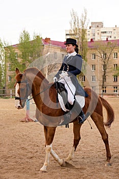 Poised equestrian in formal attire during outdoor training