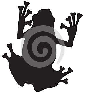 Poison Dart Frog Silhouette on White Background.