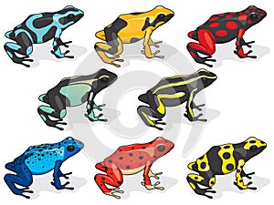 Poison Dart Frogs