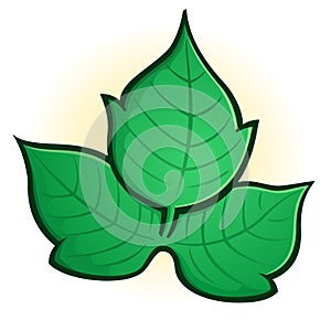 Poison Ivy Cartoon Vector Illustration