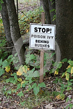 Poison ivy caution sign