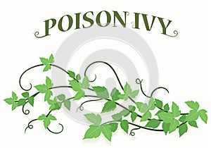 Poison Ivy Vines Background