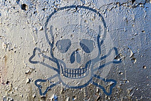 Poison Skull Symbol