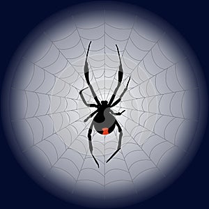 poisonous black widow spider and web on the moon. vector illustration