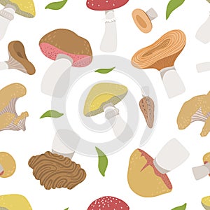 Poisonous and Edible Mushrooms Seamless Pattern, Vegetarian Organic Natural Food Design Element Can Be Used for
